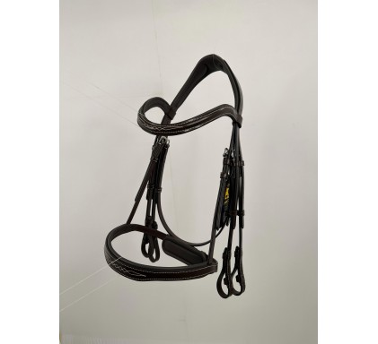 Leather Bridle 